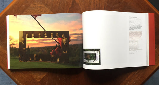 Mishandled Archive by Tara Fatehi