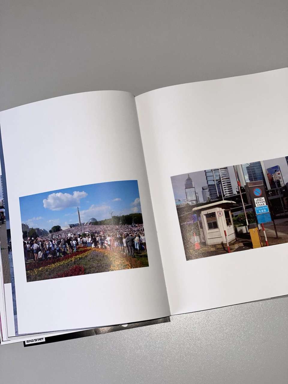 Descent into the Marsh: Belarus & Hong Kong, 2020-2024 by Lesia Pcholka