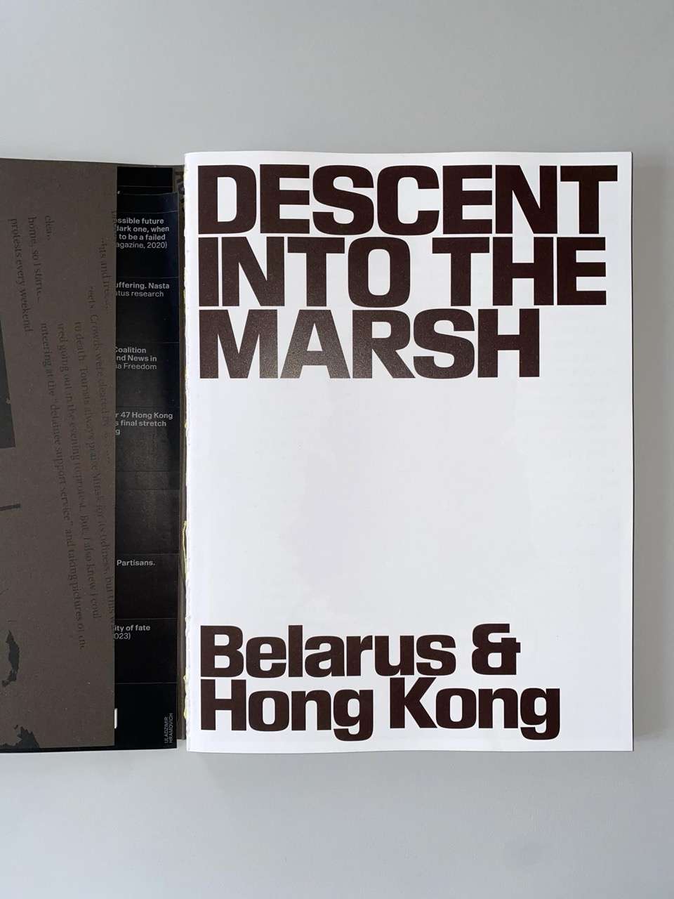 Descent into the Marsh: Belarus & Hong Kong, 2020-2024 by Lesia Pcholka