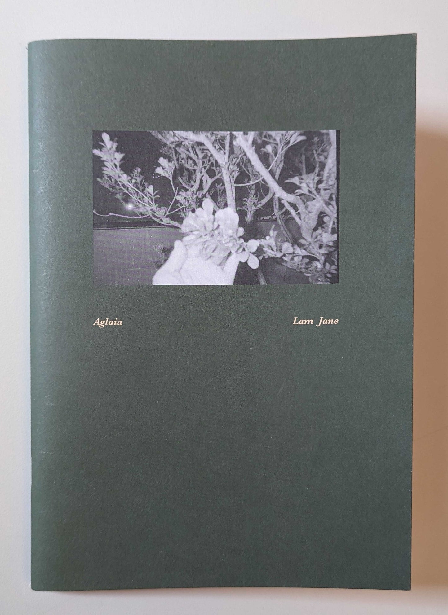 Jane Lam: Aglaia