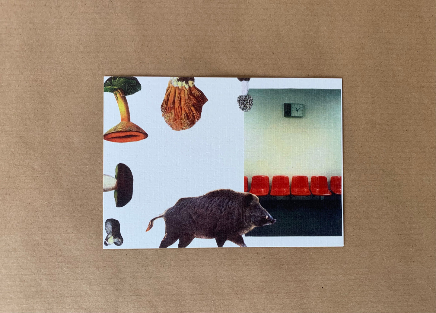 Postcard from Nostalgia by Heda Antošová