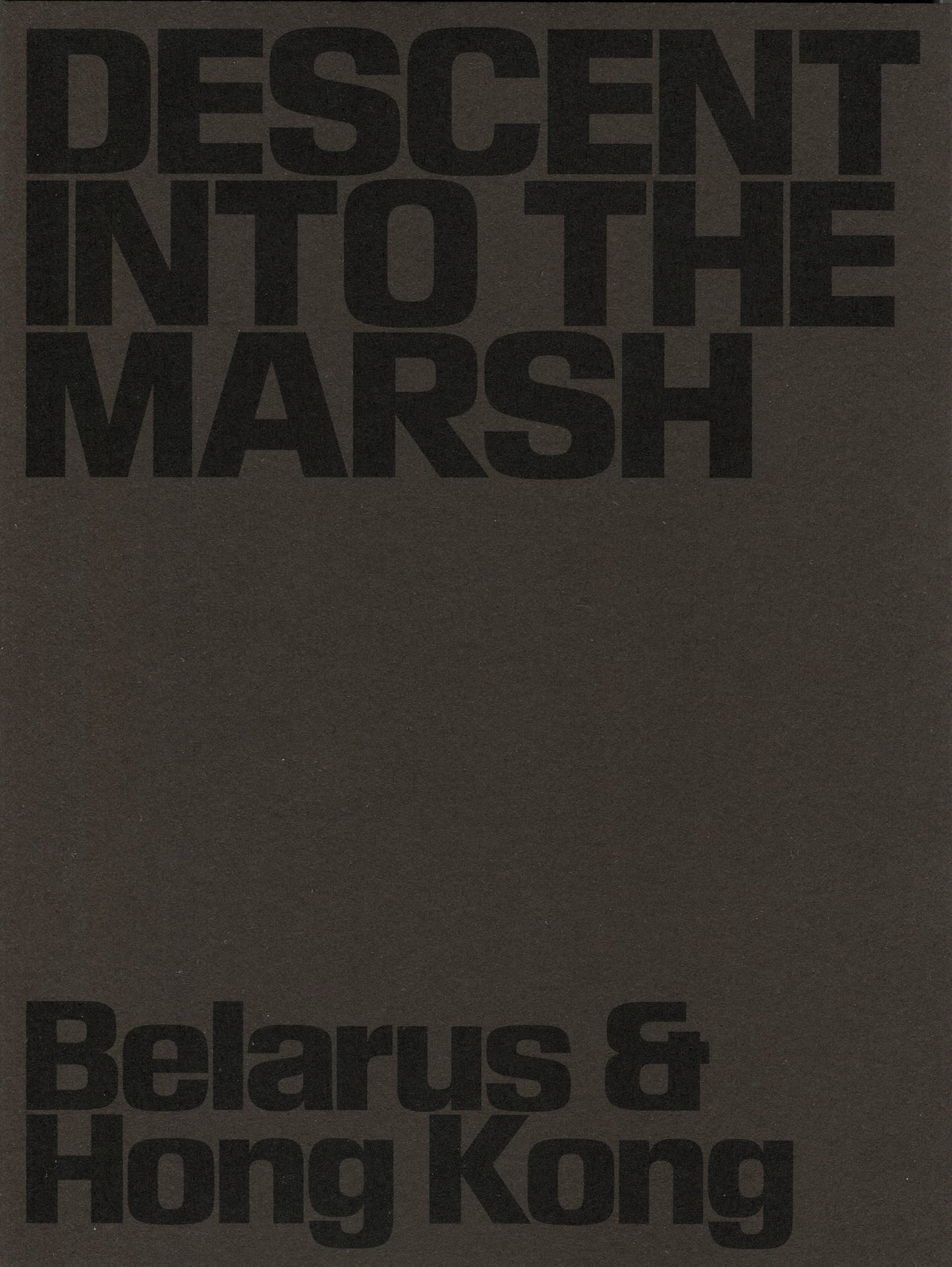 Descent into the Marsh: Belarus & Hong Kong, 2020-2024 by Lesia Pcholka