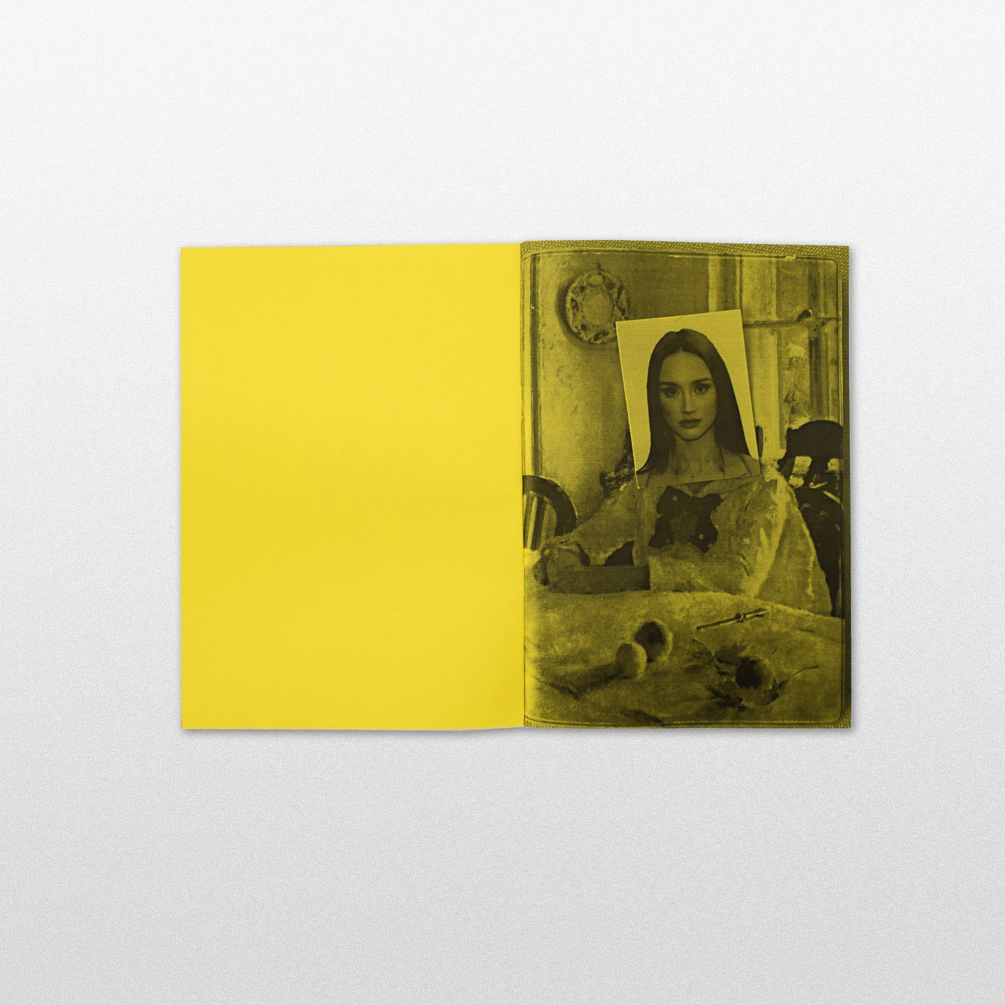 Julie (limited edition)