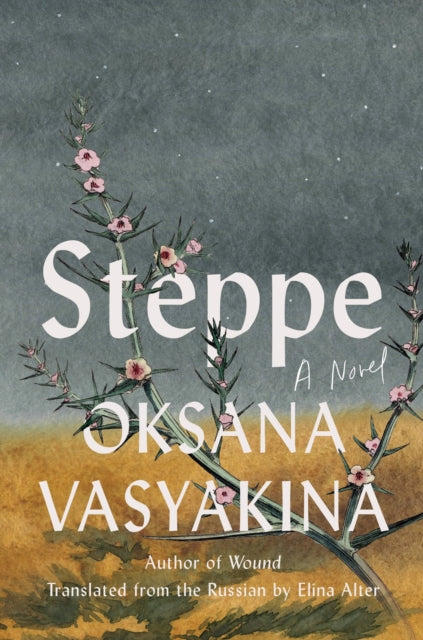 Steppe: A Novel by Oksana Vasyakina
