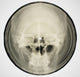 Bone Music by Stephen Coates