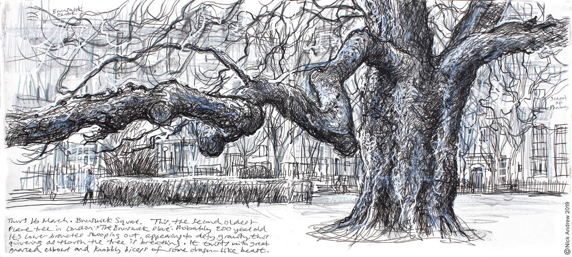 Bloomsbury Squares and Gardens by Susan Jellis