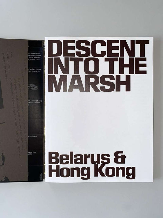 Descent into the Marsh: Belarus & Hong Kong, 2020-2024 by Lesia Pcholka