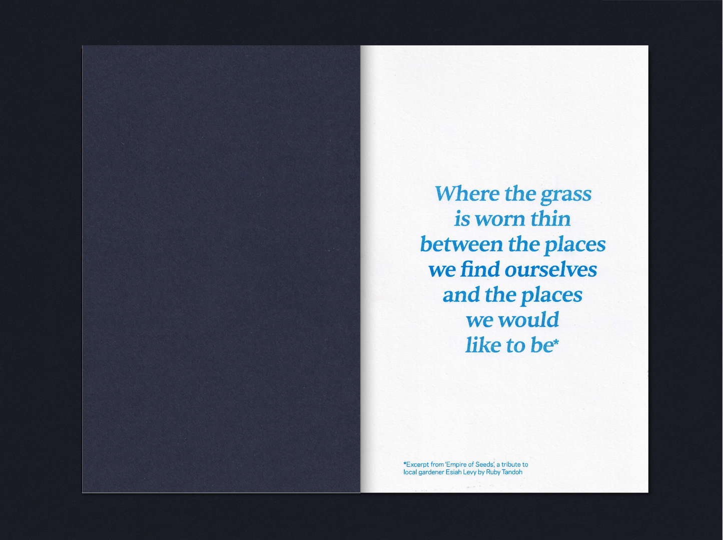 ‘Desire Paths’ Limited Edition Publication by Turf Projects