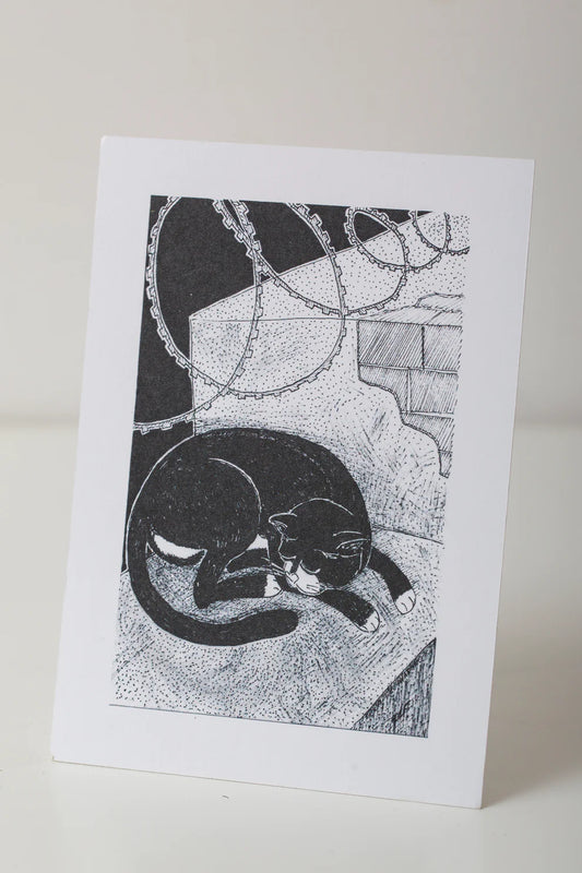 Sasha Skochilenko Postcards