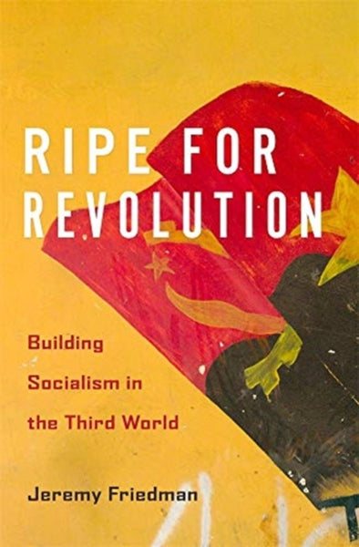 Ripe for Revolution: Building Socialism in the Third World by Jeremy Friedman